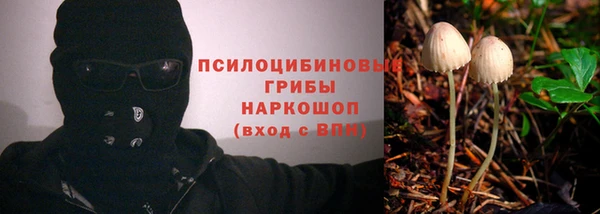 спиды Бородино