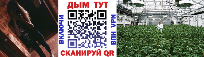 Шишки марихуана конопля  ссылка на мегу   Людиново 
